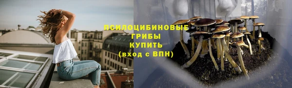 ALPHA PVP Арсеньев